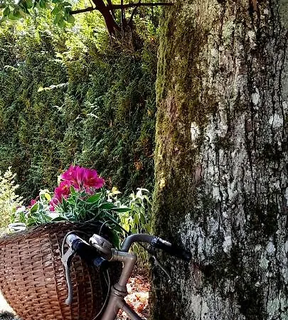 Sous Le Tilleul - Tourouvre - Perche * La Ventrouze