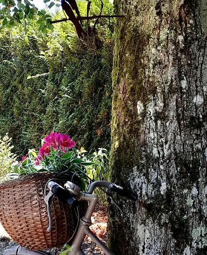 Le Tilleul Du Perche - Jardin Clos - Fibre - Télétravail - Parking Privé * La Ventrouze